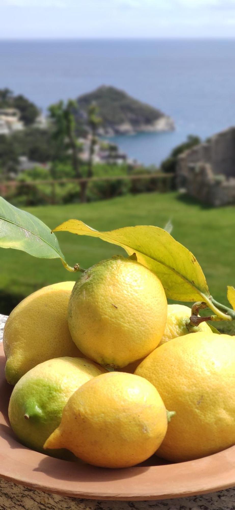 Il Giardino Sull'Isola - Appartamento - Bergeggi Eksteriør billede